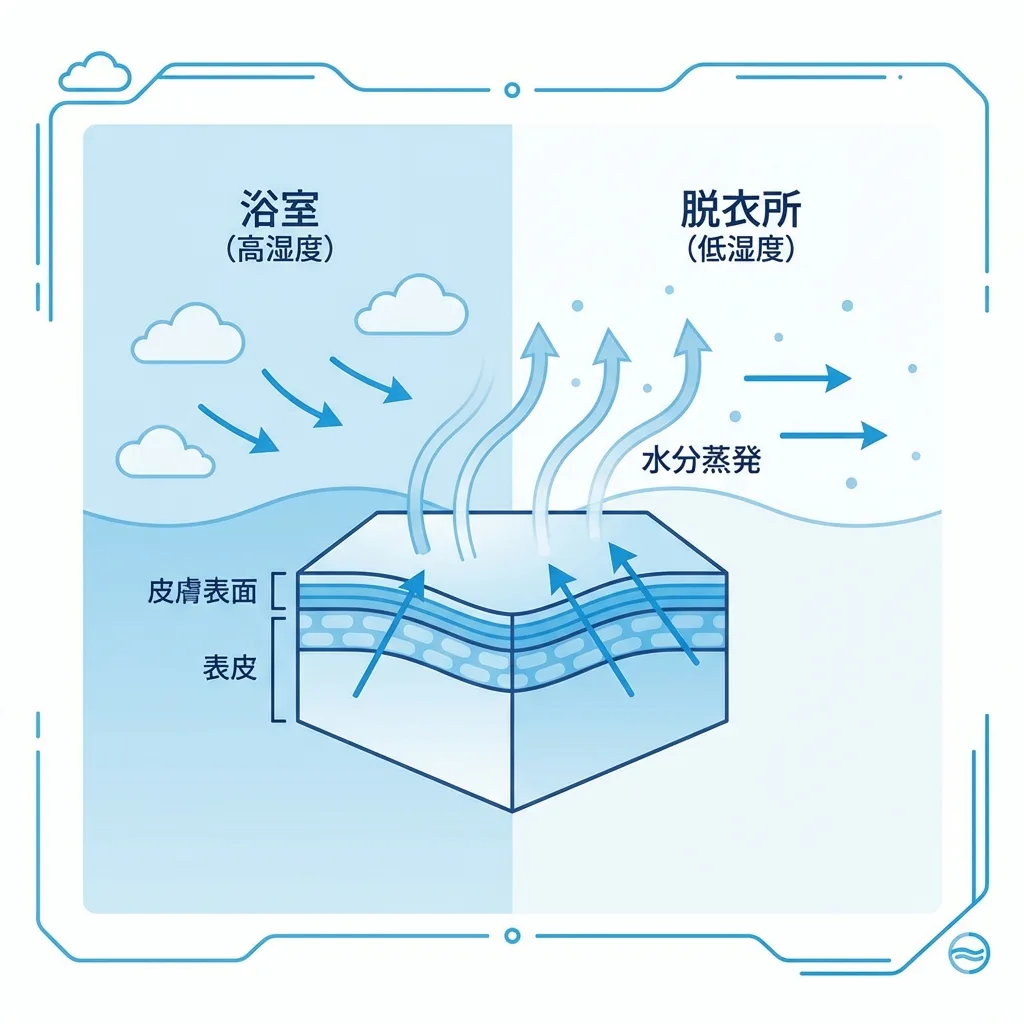 湿度の解剖：洗顔直後の30秒を左右する「湿度と気流」の支配力