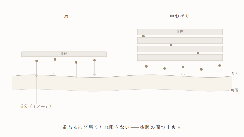 角層と重なった塗膜による成分移行の違いを示す図解