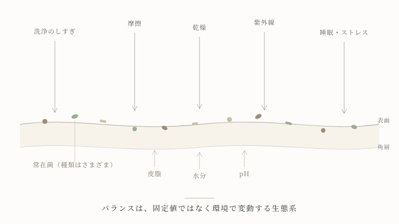 肌表面の微生物群と角層環境の関係