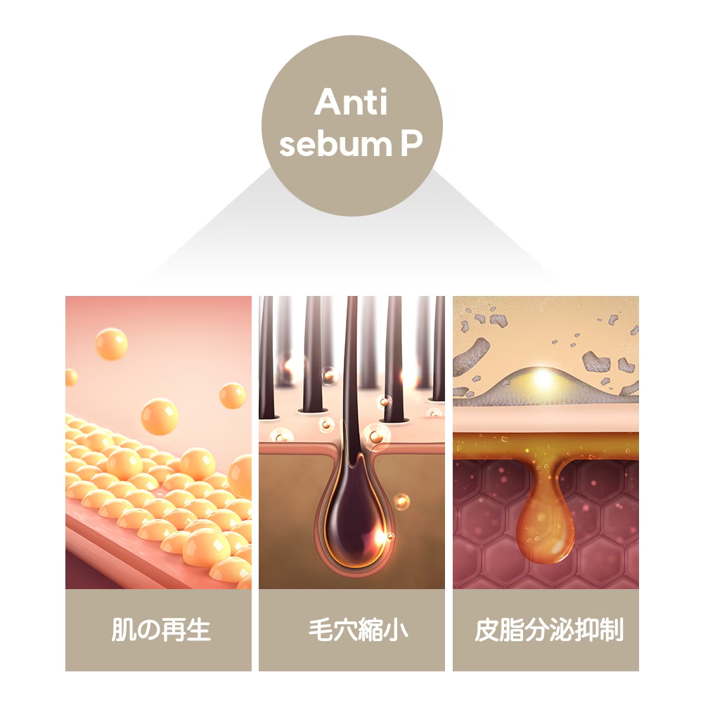 Anti sebum P
